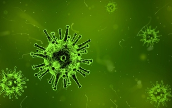 Epatite C, il virus silenzioso che colpisce il fegato