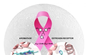 Tumore al seno: individuate molecole per nuove cure più efficaci