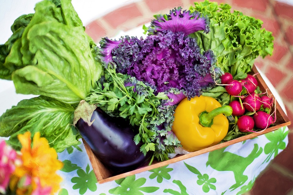 Proteine vegetali, un cesto di verdura
