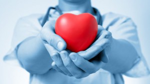 Donazioni. Un medici con un cuore di plastica nelle mani