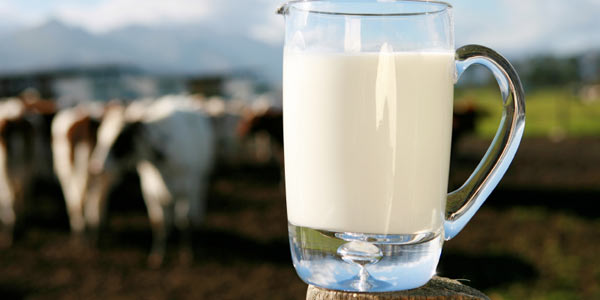 Lattosio, tutti i miti da sfatare sul latte