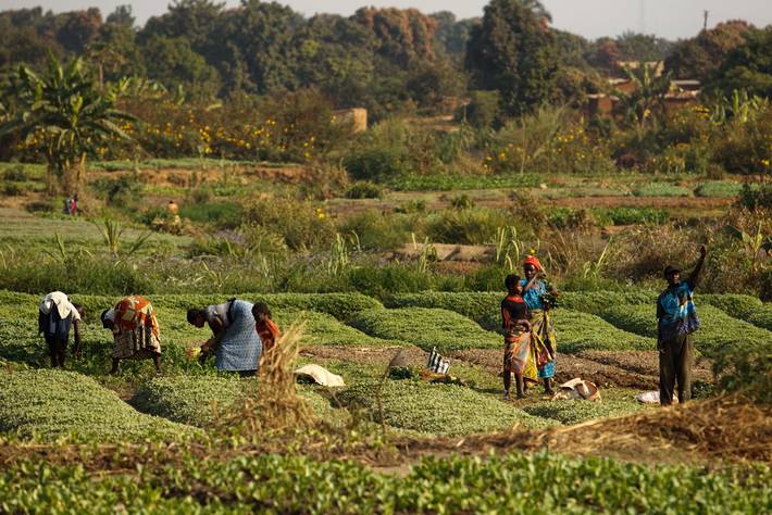 Si chiude il Simposio FAO su “Agricultural Innovation for Family Farmers”
