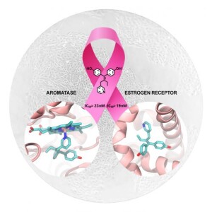 tumore seno, scoperta nuova molecola