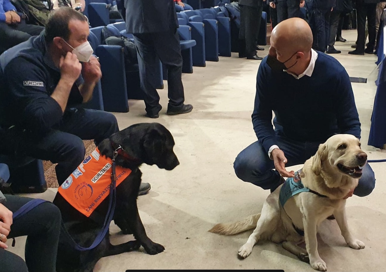 Covid: 2 cani insieme al personale esperto che li ha addestrati a riconoscere i casi positivi