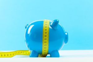 disuguaglianze: Blue piggy bank or money box