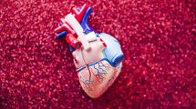 Ipercolesterolemia, cuore- giocattolo sdraiato su glitter
