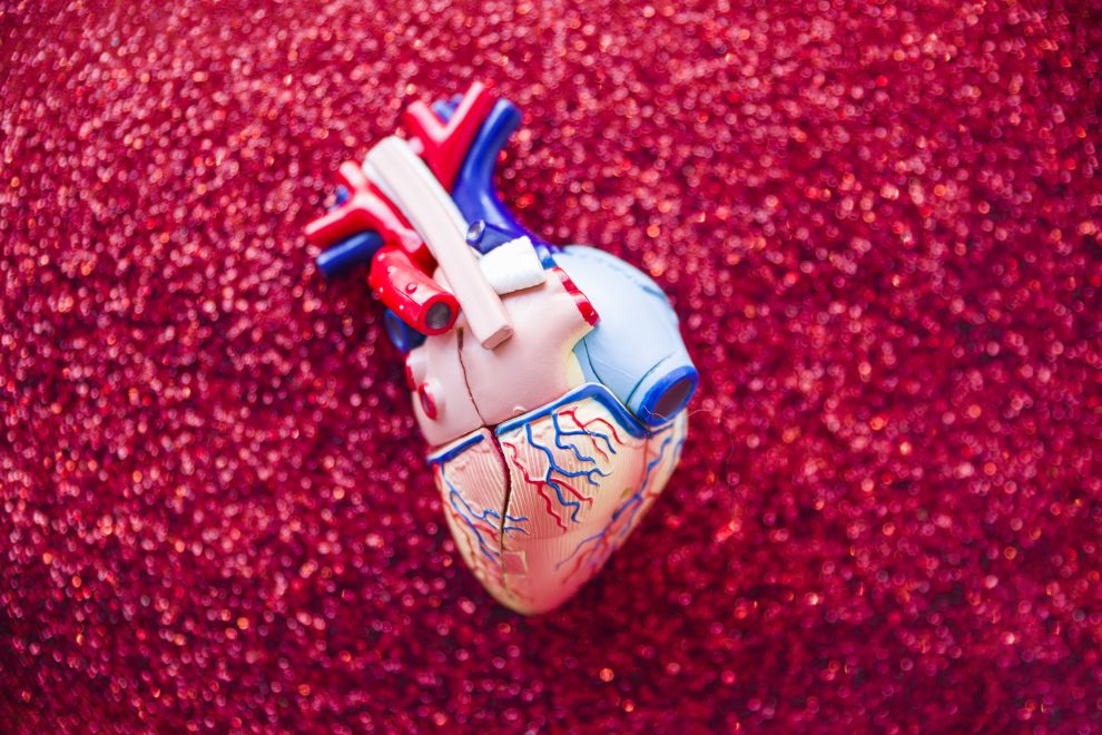 Scompenso cardiaco, cuore-giocattolo sdraiato su glitter per idea di malattie cardiovascolari
