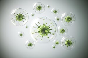 infezioni da batteri resistenti: agenti patogeni al microscopio
