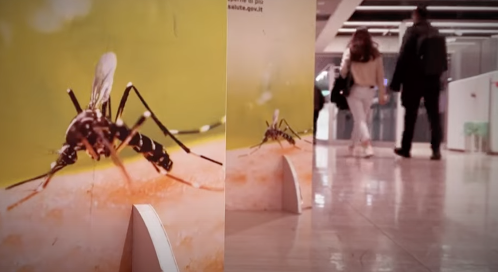 Febbre dengue, cartelloni informativi in Brasile